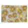 Sunburst Cluster by Abby Young - Print on Canvas
