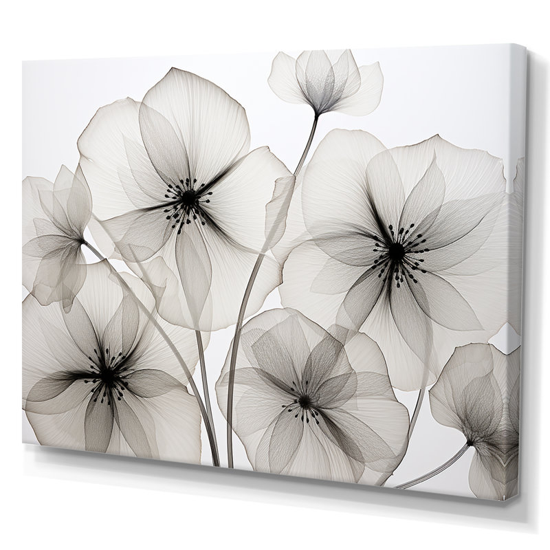 «Black and White Morning Glory Speed - Morning Glory», reproduction d'art sur toile, Toile tendue, H 12 po x l 20 po x P 1 po