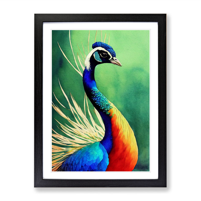 Painted Peacock No.2 - Single Picture Frame Print, 46cm H x 34cm W x 2cm D, Black Framed