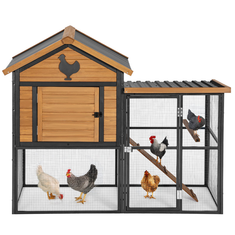 Poulailler en bois et en fer durable avec piste et toit imperméable, convient pour 5 à 7 poulets, nichoir intégré