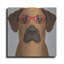 «Rhodesian Ridgeback portant des lunettes de hipster» par les affiliés Furbaby-781655428