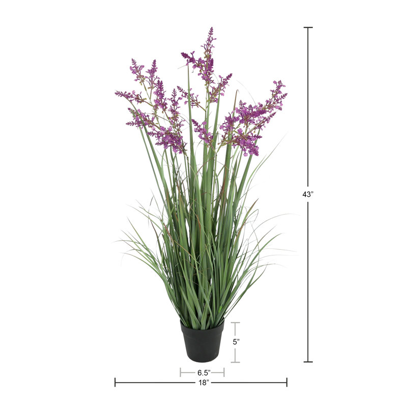 Lavender Drop-In Plant