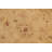 Wool Oriental Rug
