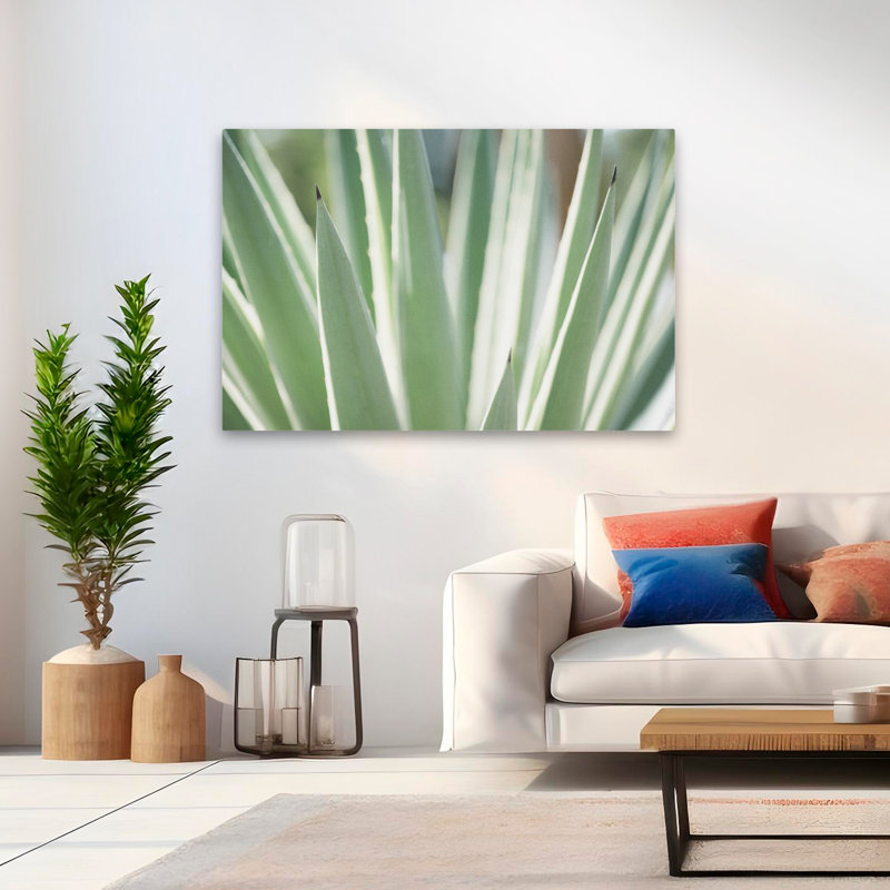 Plantes, fleurs, paysage, nature, abstrait, rêves succulents, art mural, H 32 po x l 48 po