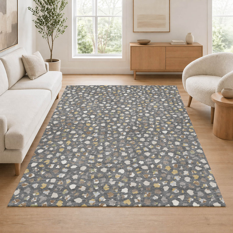 Tapis moderne Ceajay ACN3089 lavable à la machine pour intérieur et extérieur, Gray, 9 pi x 12 pi