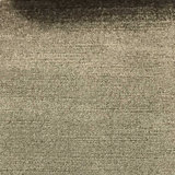 Majestic-Queen Shany Cotton Plain Velvet Fabric