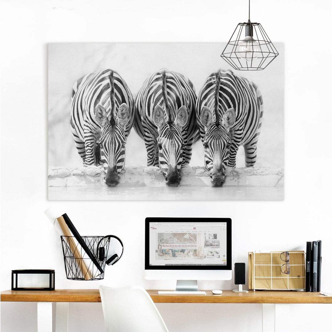 Leinwandbild Zebra Trio in Schwarz und Weiß