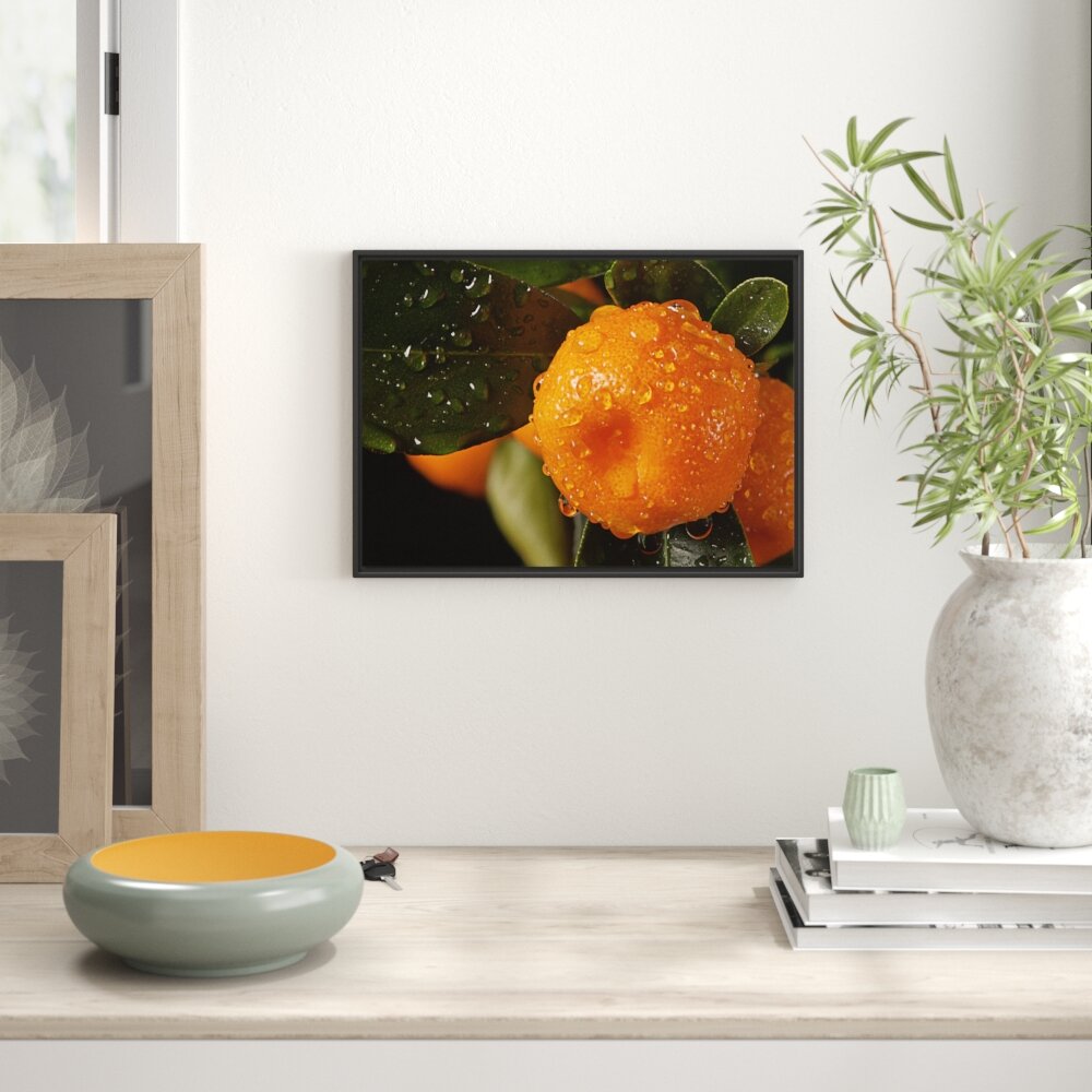 Gerahmtes Wandbild Saftige frische Orange