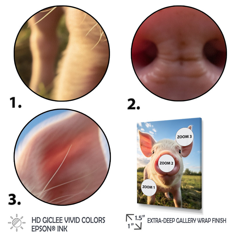 «Pink Pig Curious Snout Pig», reproduction sur toile, Cadre flottant doré, H 32 po x l 24 po x P 1 po
