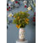 Vase de table Harjivan