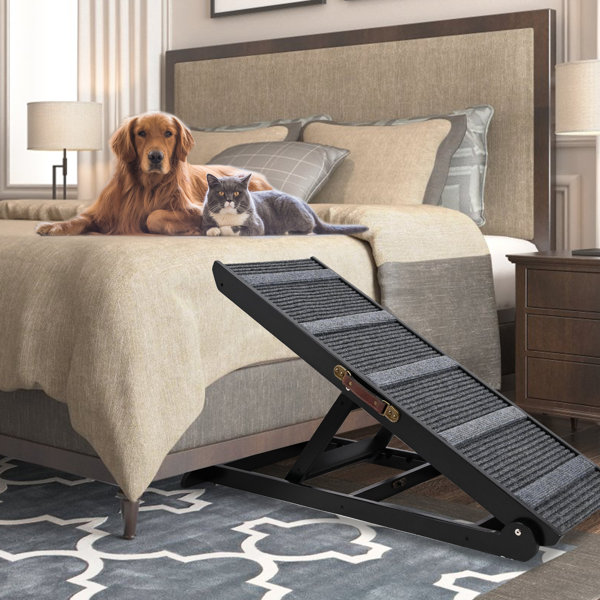 https://assets.wfcdn.com/im/56195785/resize-h600-w600%5Ecompr-r85/2244/224473084/Adjustable+Dog+Ramp+Wooden+Pet+Ramp+For+Small+%26+Large+Old+Dogs+%26+Cats+Gear+With+Paw+Traction+Mat+Non-Slip+Pet+Stair+For+Couch+Sofa+Car+Folding+Safety+To+200Lb.jpg