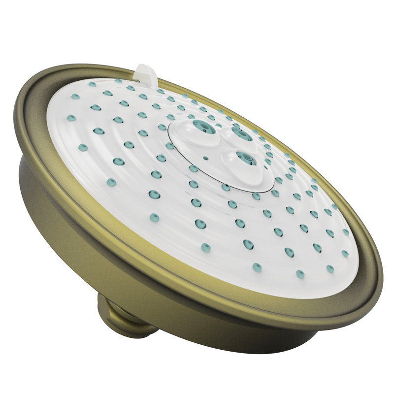 Multi Function Fixed Shower Head, Antique Brass