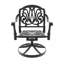 Ensemble de salle à manger 3 pièces en aluminium coulé toutes saisons comprenant 2 chaises pivotantes et une table ronde avec cadre noir-7149955