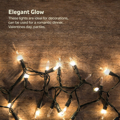 Bjorkland 100 Bulb Fairy Warm Lights String Bulbs