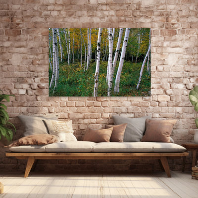 Stand Of White Birch Trees Abstract Contemporary Birch Autumn Forest Art