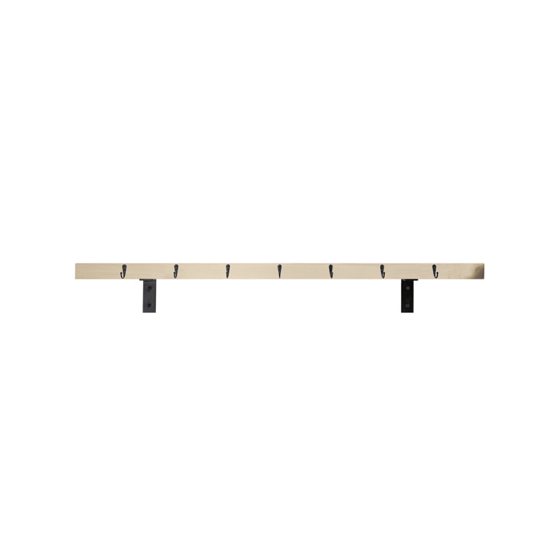 Rayne Plate Display Shelves With Hooks, 48/3/2, Raw