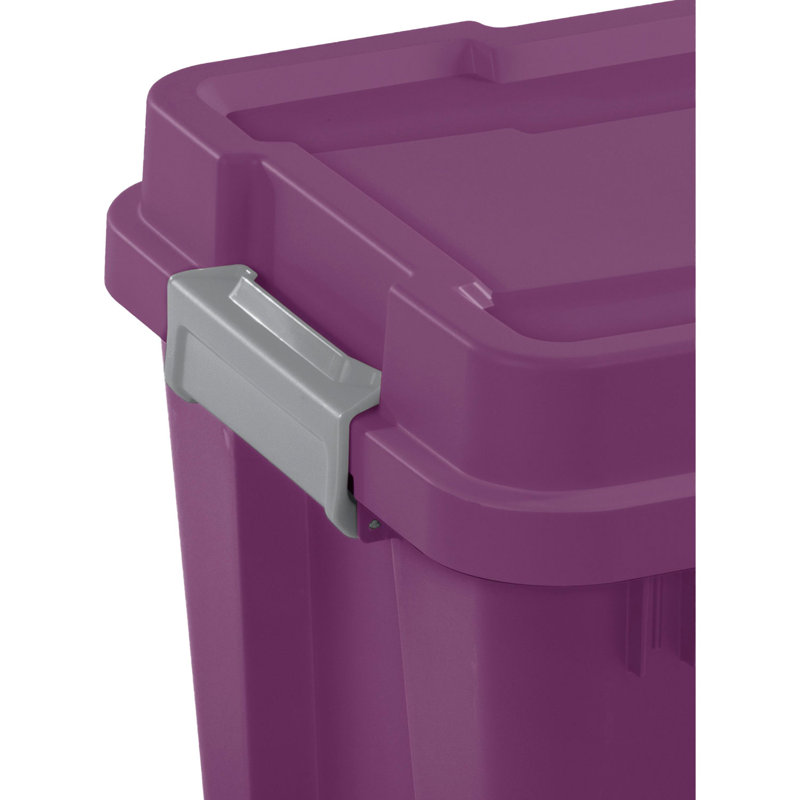 Plastic Box Set, 4, Purple