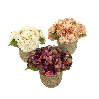 Arrangements floraux d'hortensias d'automne Carytown