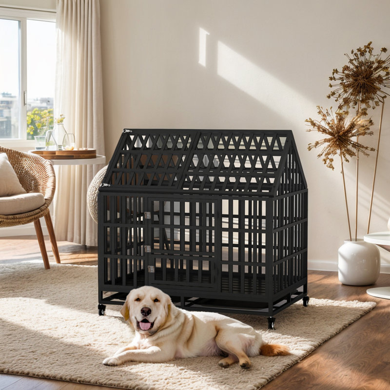 Cage pour chien robuste