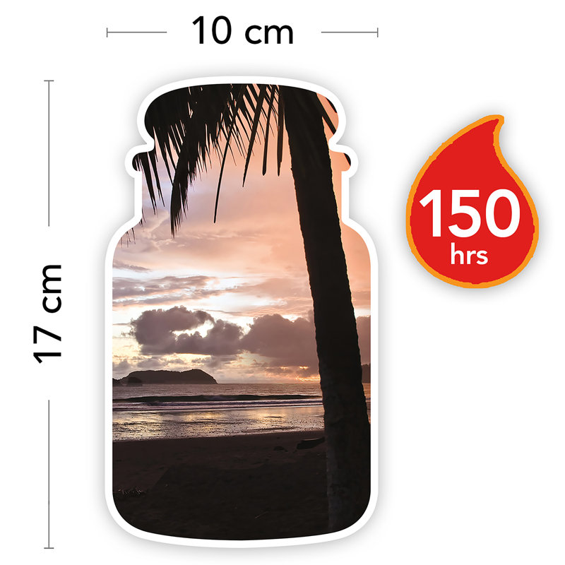 Black Coconut Large Scented Jar Candle By Yankee Candle