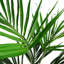 Faux Plant in Pot Liner-161039019