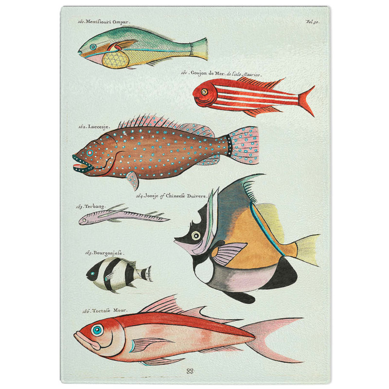 Glass East indies Fish Illustrations Fol. 30 by Louis Renard Chopping Board, 39 cm W x 28.5 cm L
