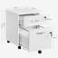 40cm Wide 2 -Drawer Mobile File Cabinet-44572295