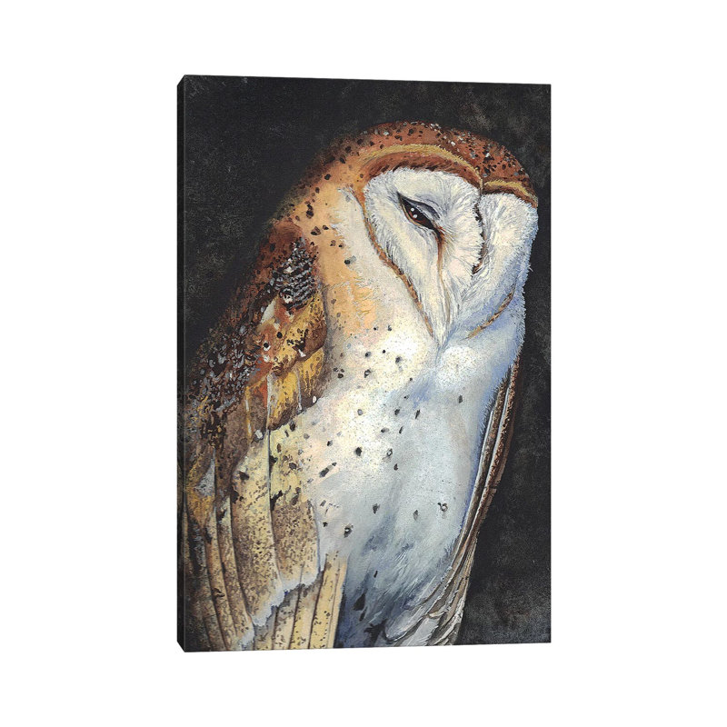 In The Owlery by Maggie Vandewalle - Wrapped Canvas Print