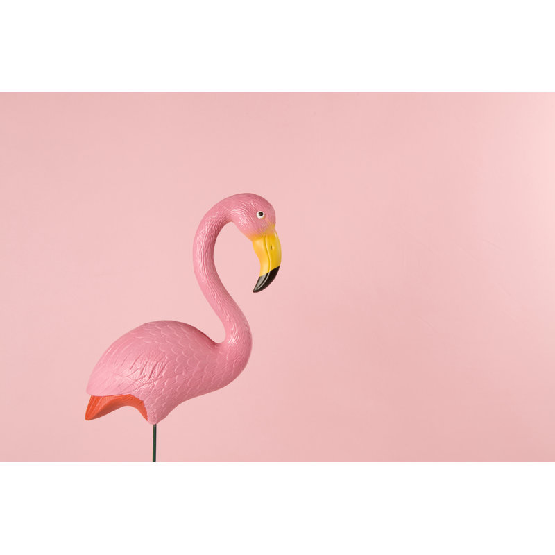 Flamingo With Yellow Beak by LoulouVonGlup - Wrapped Canvas Print, 30cm H x 46cm W x 3.8cm D