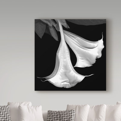 «Trumpet Flower Black and White» par Dosta, impression sur toile tendue