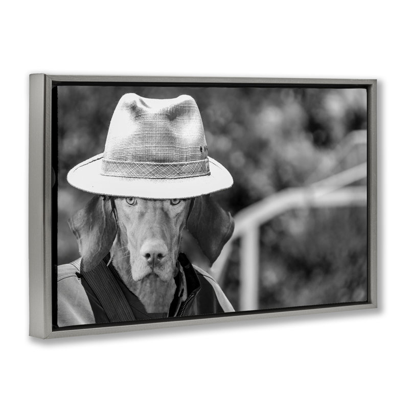 «Country Cowboy Dog» par SD graphiques Studio, Cadre flottant gris lustré, H 17 po x l 25 po