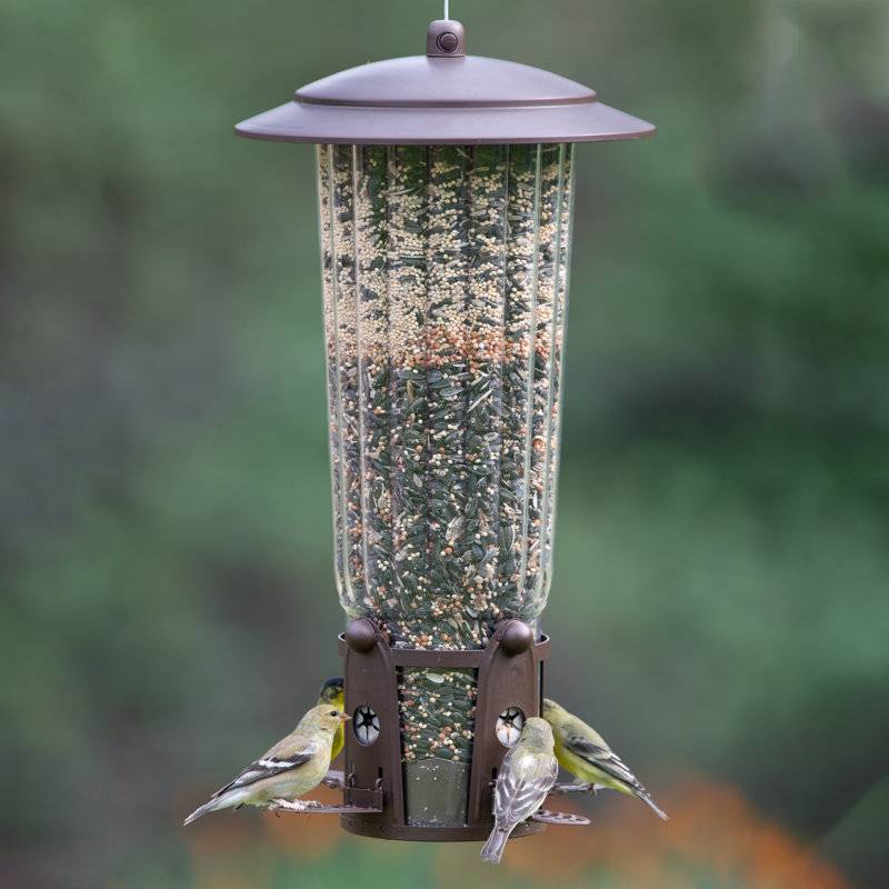 Mangeoire d'oiseaux Lowesville Squirrel-Be-Gone Max Hopper