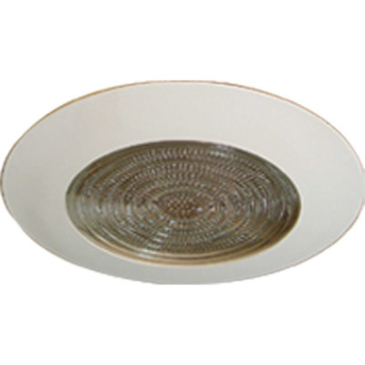 Fresnal Shower 6" Recessed Trim