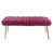 Fuchsia est en rupture de stock