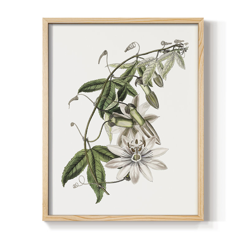 Tropical Botanical II, reproduction encadrée - bois massif, Naturel, H 15 po x l 12 po