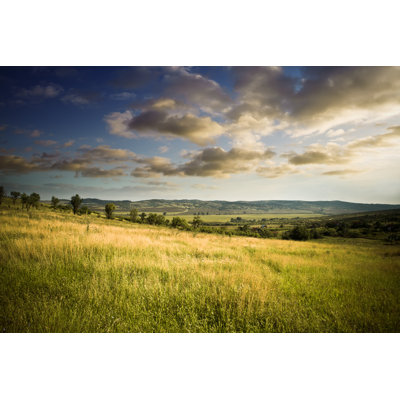 Beautiful Field in the Evening 1 Piece Wrapped Canvas Wall Art