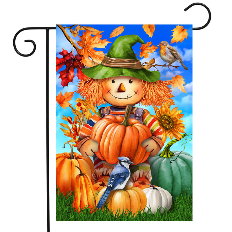 Drapeau souriant du jardin épouvantail