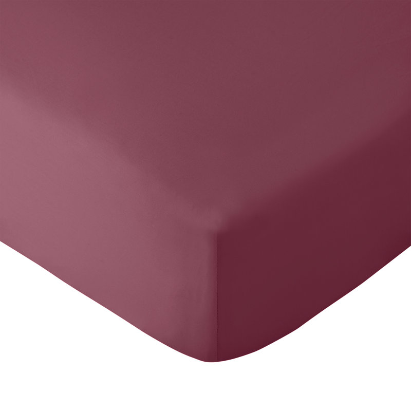 So Soft Easy Iron Fitted Sheet, Single, Burgundy