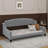Twin Modern Luxury Tufted Button Daybed-1474486996