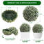 Faux Plant-2090936248-2090936255