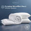 Duvet-131431646