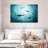 Shark Silhouette-107887739