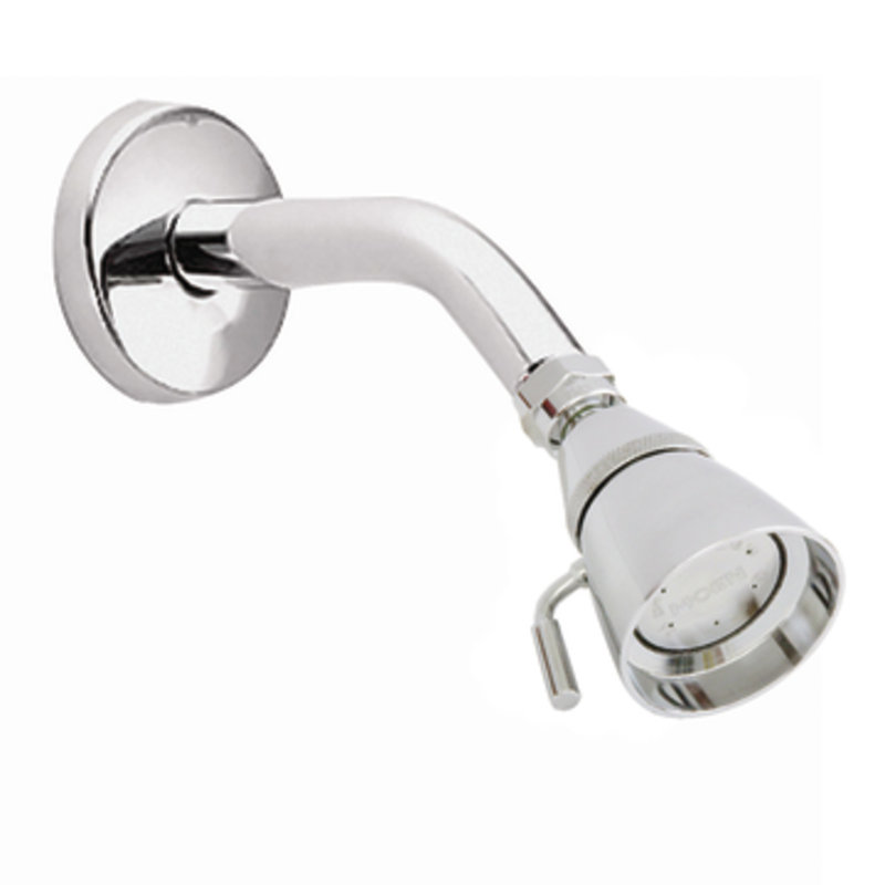 Commercial Deluxe Shower Head