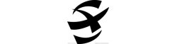 SX logo