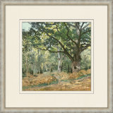 Scenic Hike 3 Print