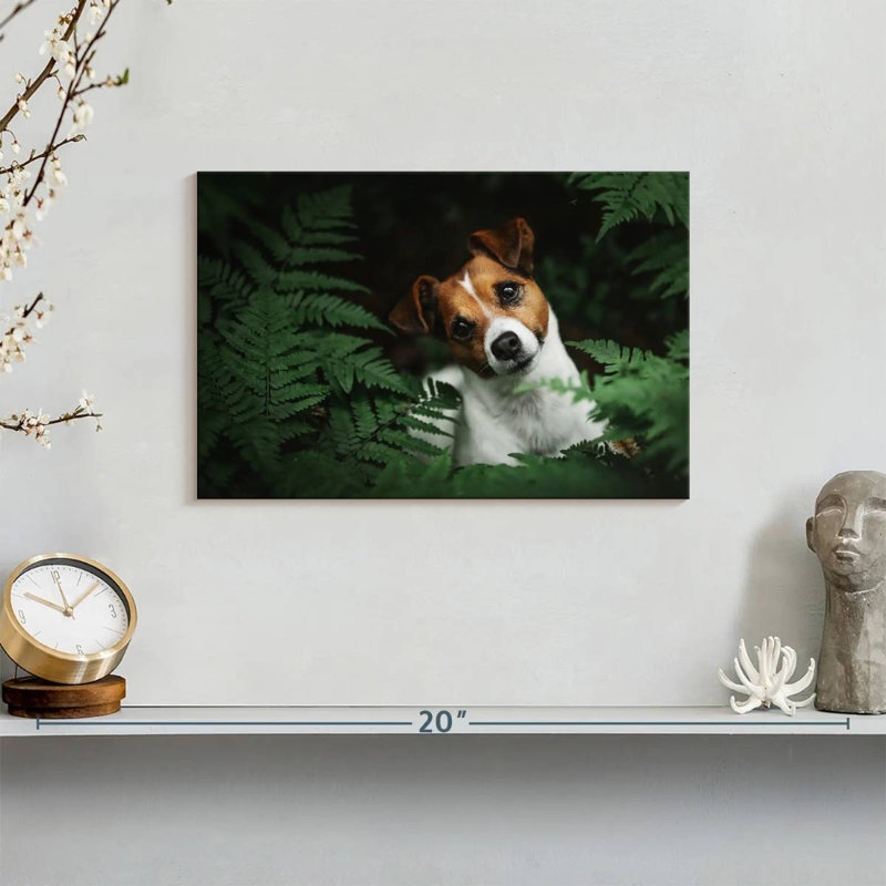 Adorable Terrier