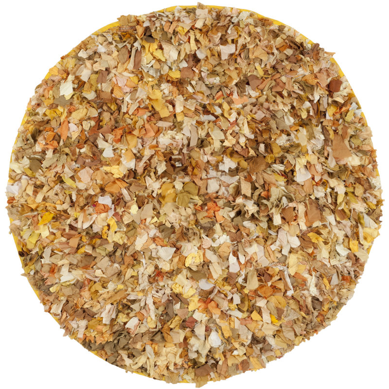 Godsey Shag Hand Woven Performance Rug, Round 6'