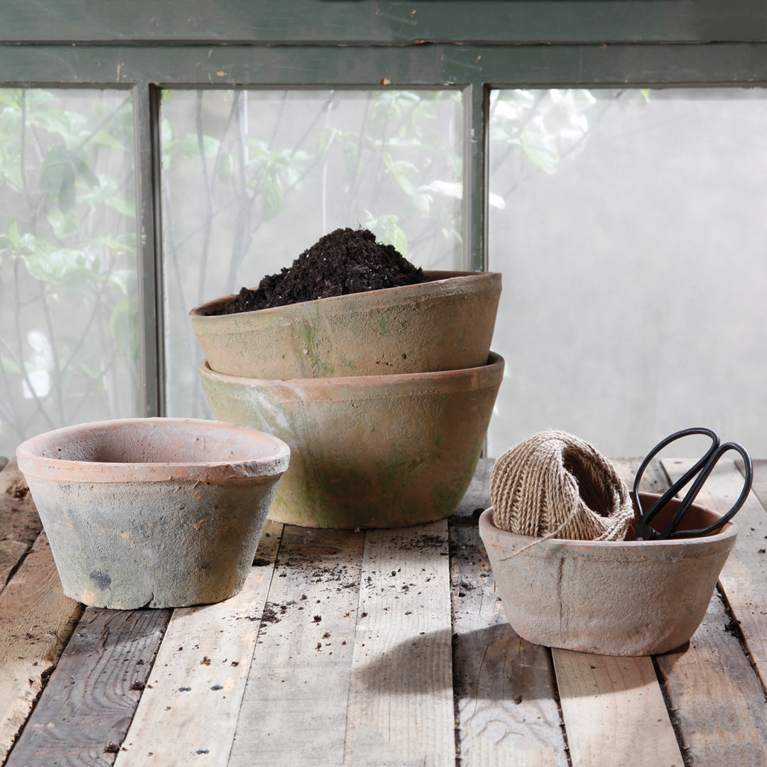 Almada Rustic Terracotta Oval Pot Planter August Grove® 