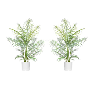 5.5' Outdoor UV Rated Kentia Palm Drop-In Trees with Fiberstone Pots