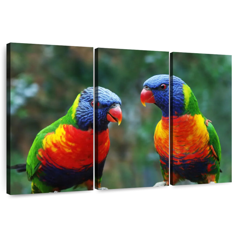 Brampt Lorikeet Buddies, 36" H x 57" W